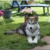 Besuch Tazanna und Pan 183